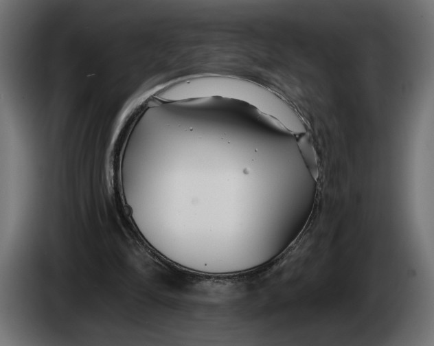X0000083550294200703021658