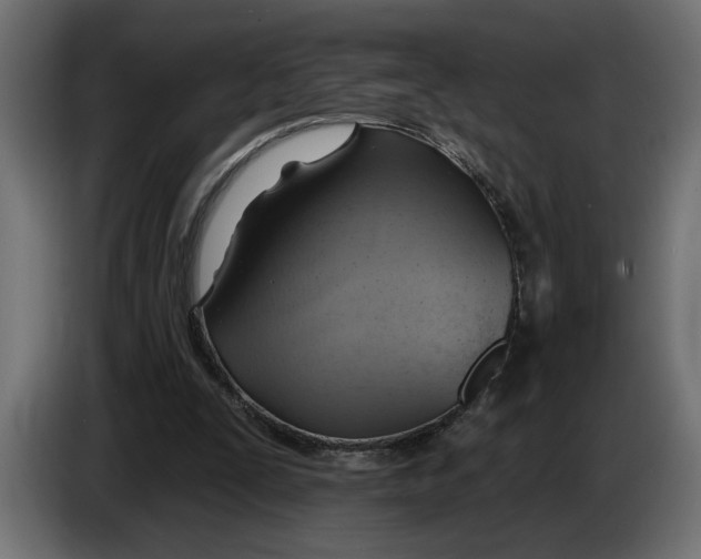 X0000083550295200703021658