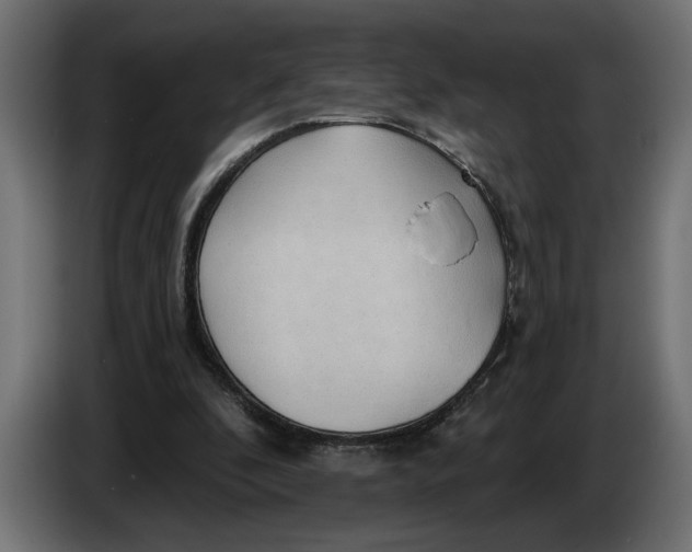 X0000083550296200703021658