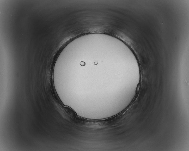 X0000083550297200703021658