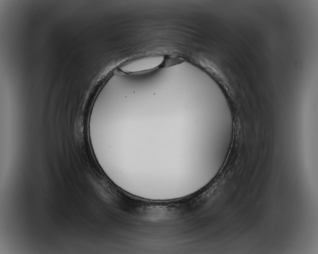 X0000083550298200703021658