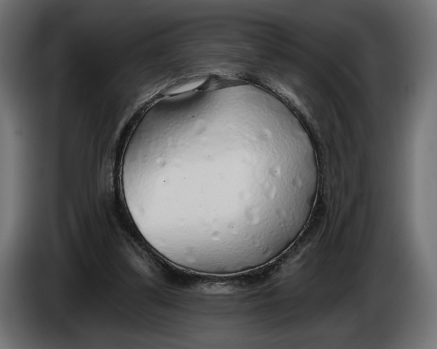X0000083550299200703021658