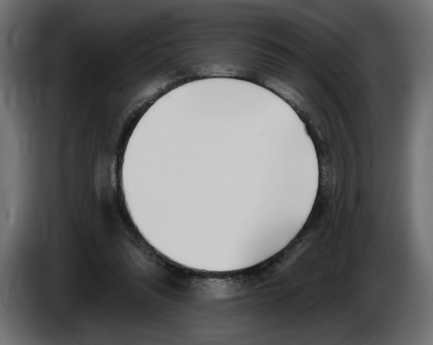 X0000083550302200703021658