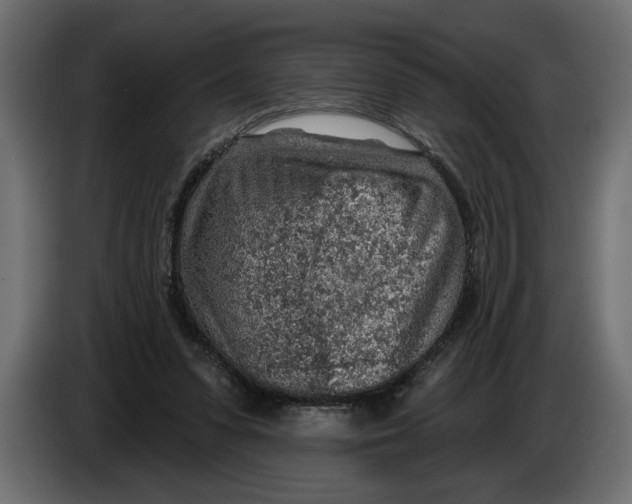 X0000083550303200703021658