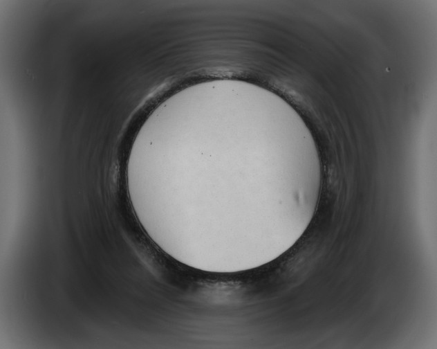 X0000083550304200703021658