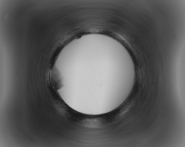 X0000083550307200703021658