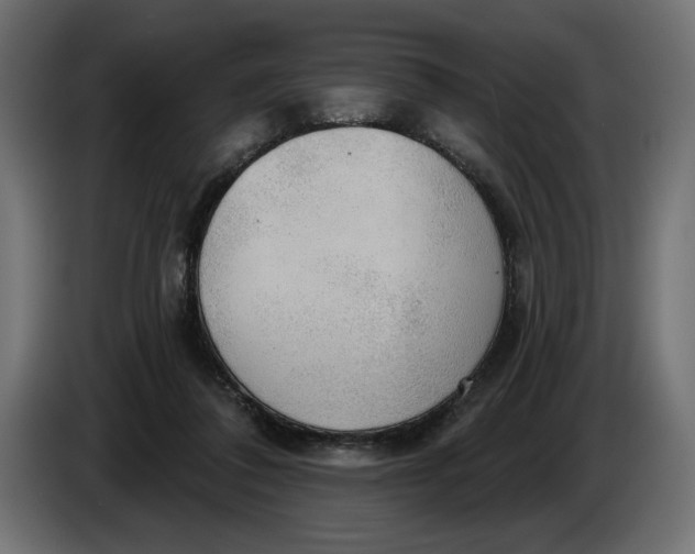 X0000083550308200703021658