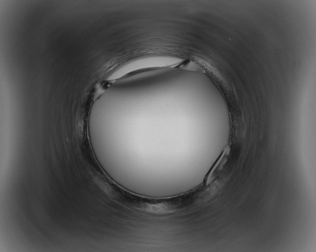X0000083550309200703021658