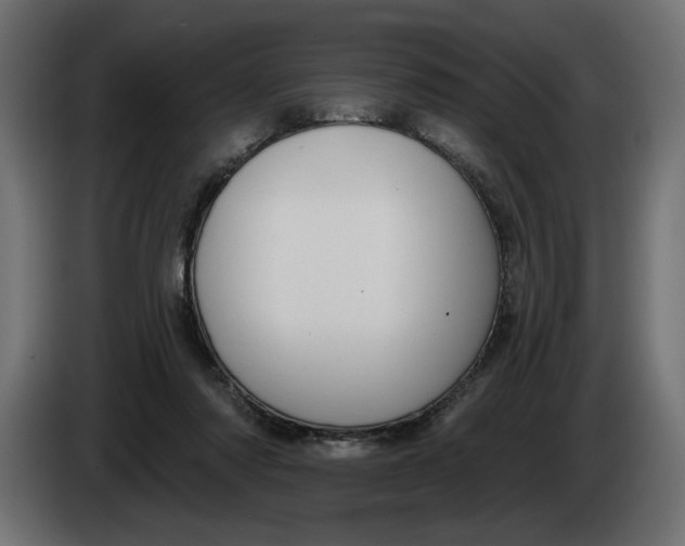 X0000083550310200703021658