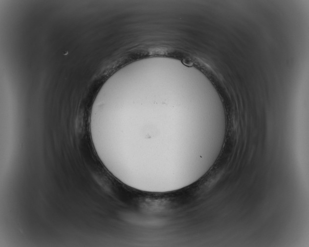 X0000083550311200703021658