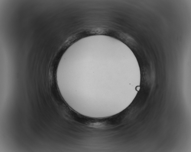 X0000083550312200703021658