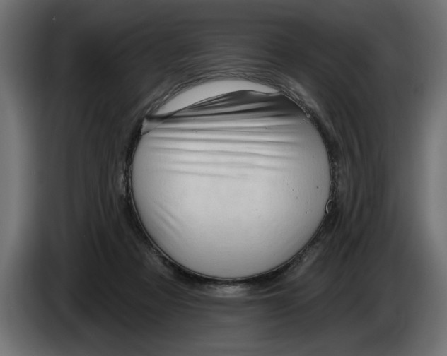 X0000083550313200703021658