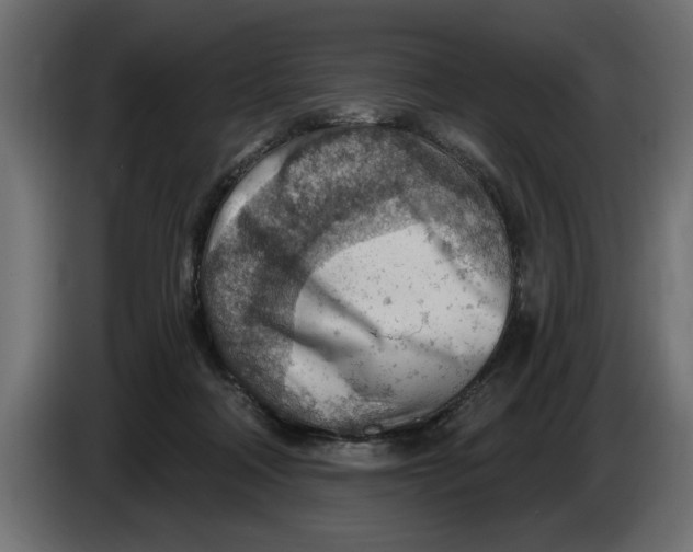 X0000083550314200703021658