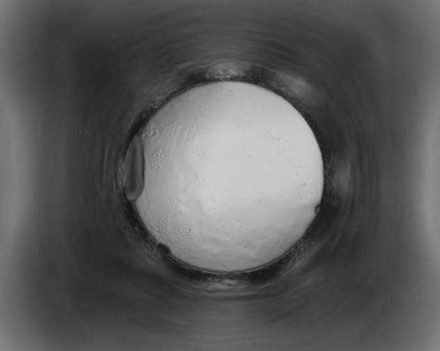 X0000083550315200703021658