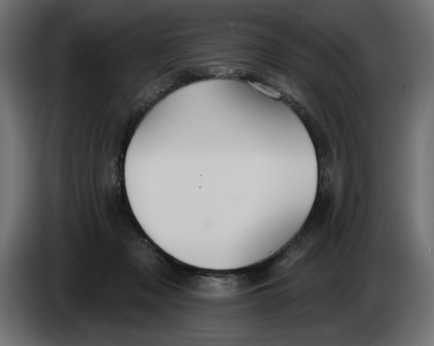 X0000083550317200703021658