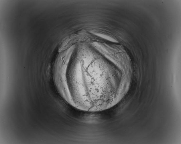 X0000083550319200703021658
