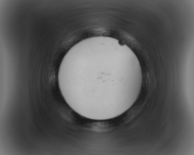 X0000083550320200703021658