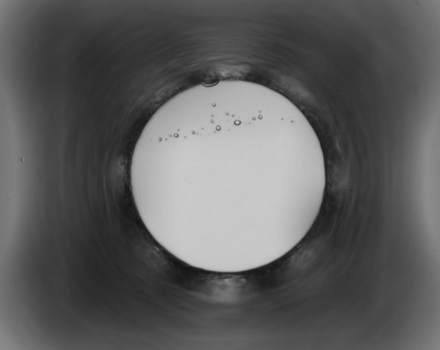 X0000083550321200703021658