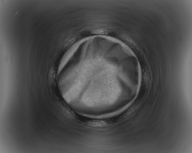 X0000083550322200703021658