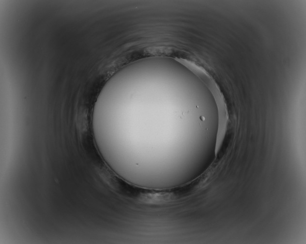 X0000083550323200703021658