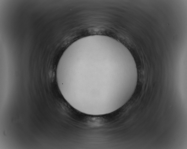 X0000083550324200703021658