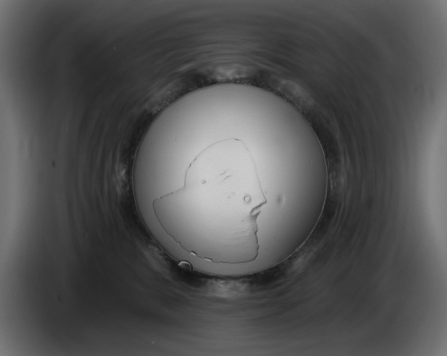X0000083550327200703021658