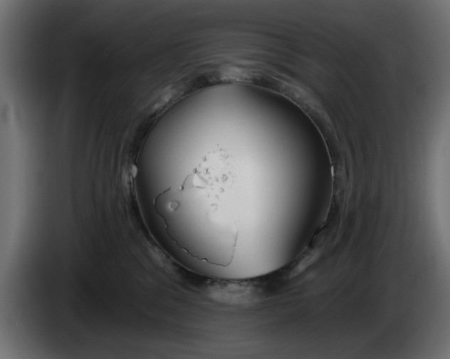 X0000083550329200703021658