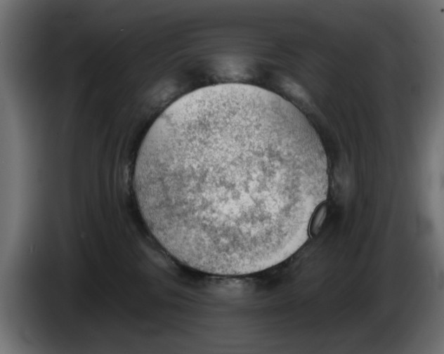 X0000083550330200703021658