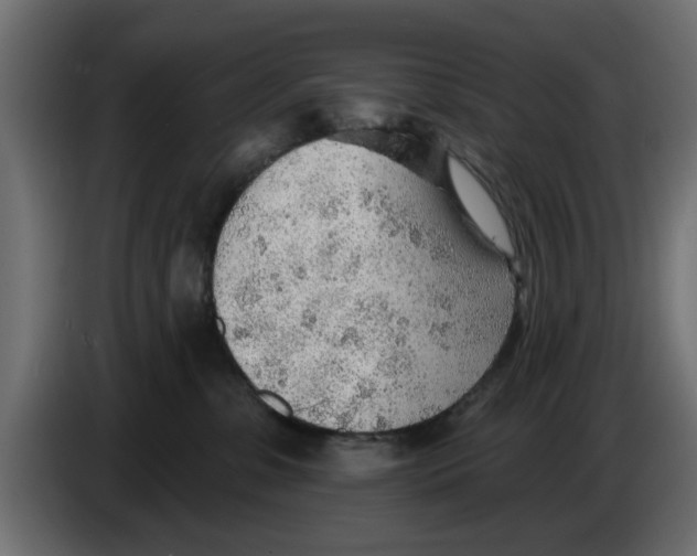 X0000083550331200703021658