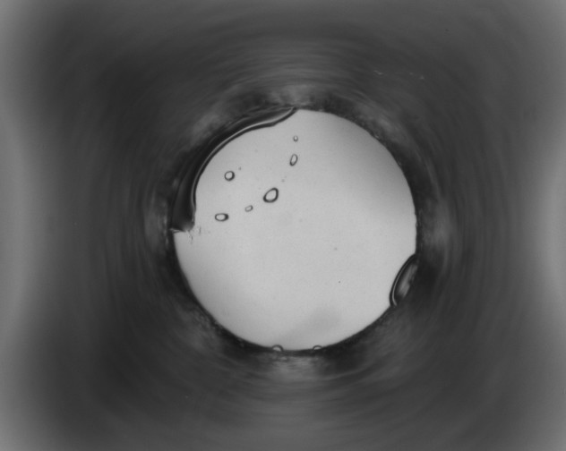 X0000083550332200703021658