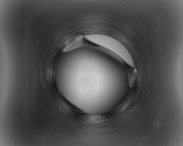 X0000083550333200703021658
