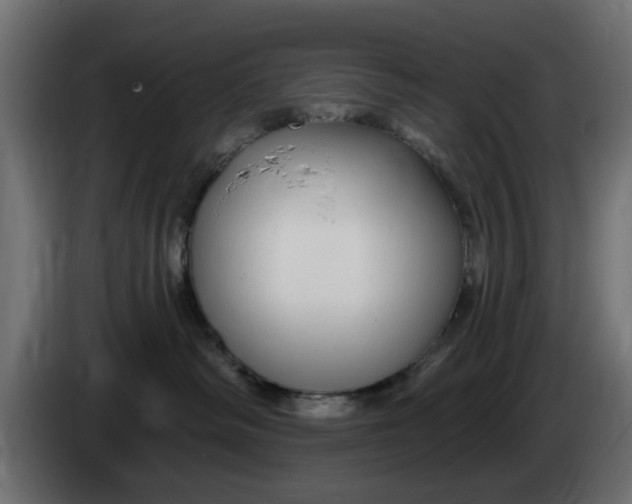 X0000083550334200703021658