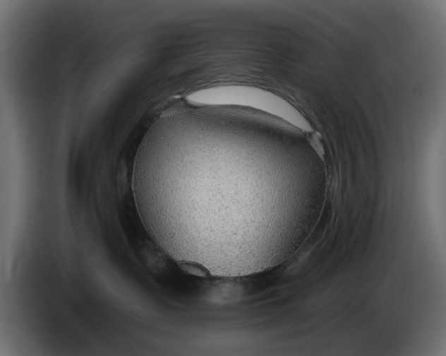 X0000083550335200703021658