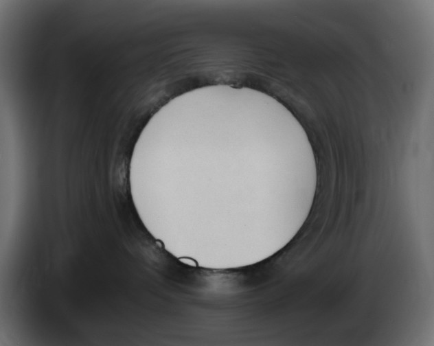 X0000083550336200703021658