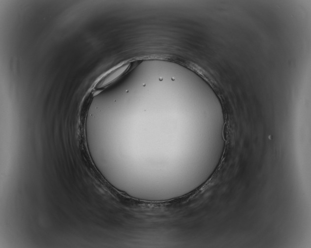 X0000083550338200703021657