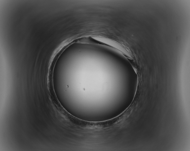 X0000083550340200703021657