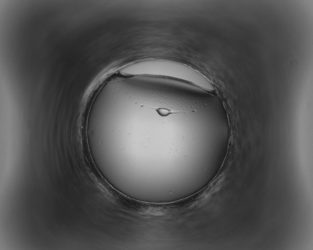 X0000083550341200703021657