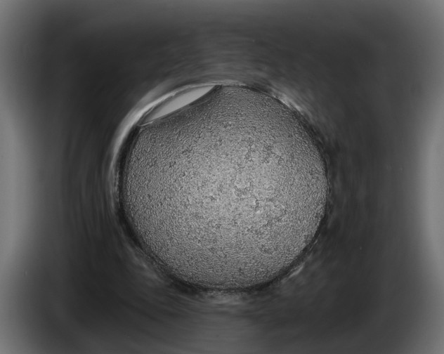 X0000083550343200703021657
