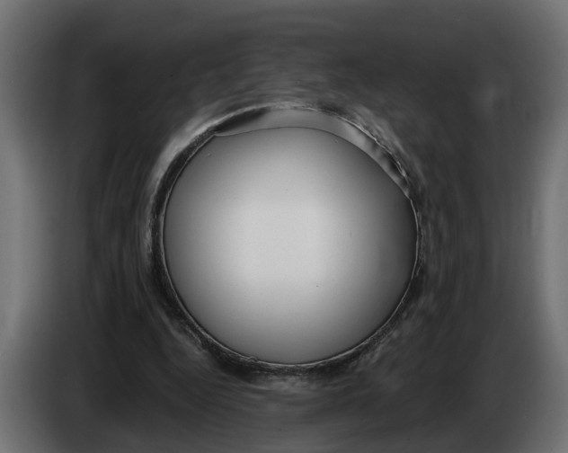 X0000083550344200703021657
