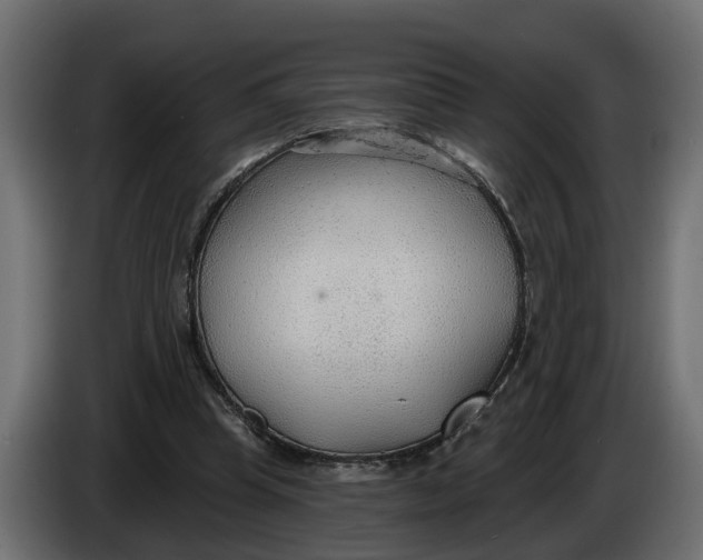 X0000083550345200703021657