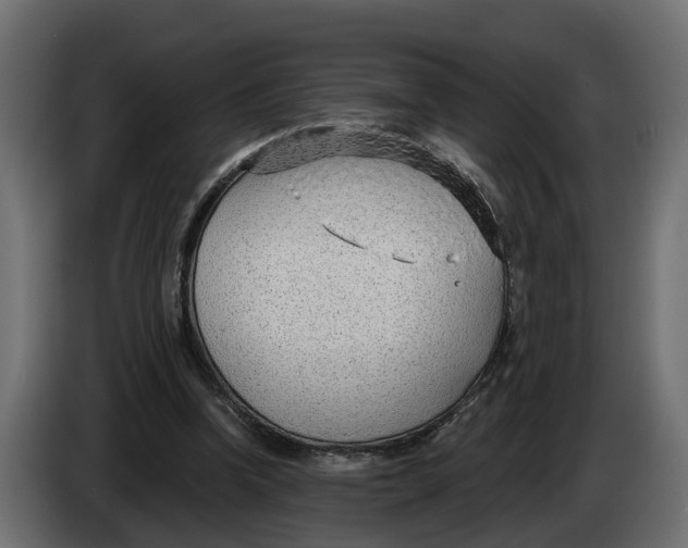 X0000083550346200703021657
