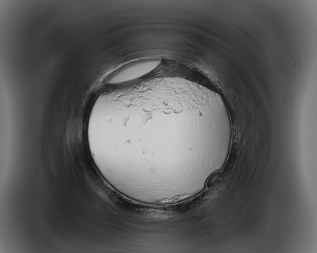 X0000083550347200703021657