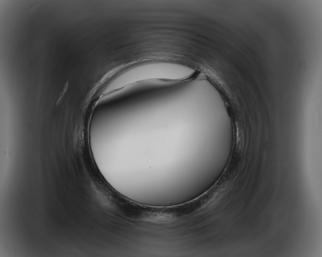 X0000083550348200703021657