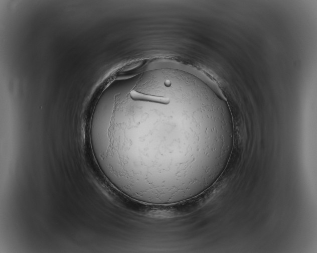 X0000083550350200703021657