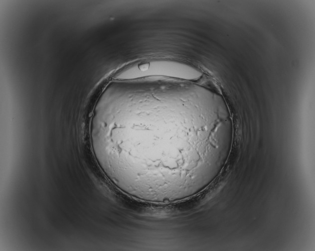 X0000083550351200703021657