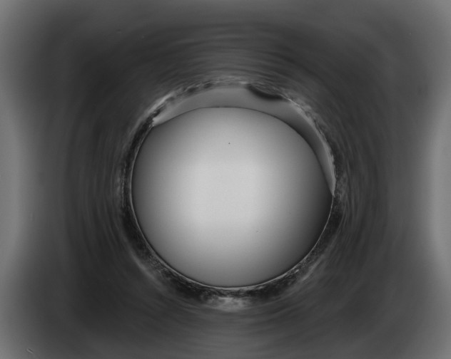 X0000083550352200703021657