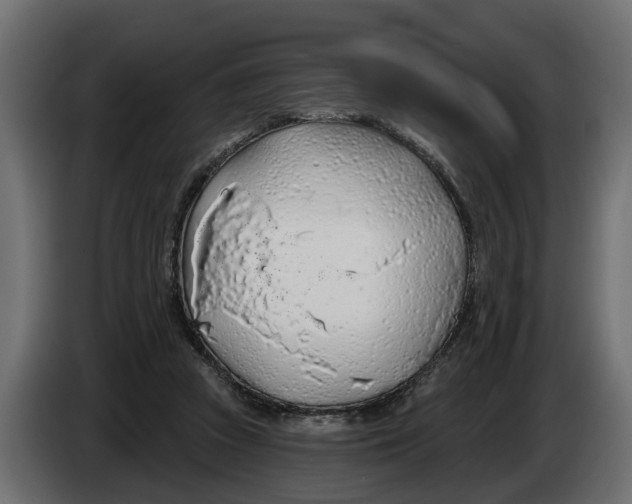 X0000083550353200703021657