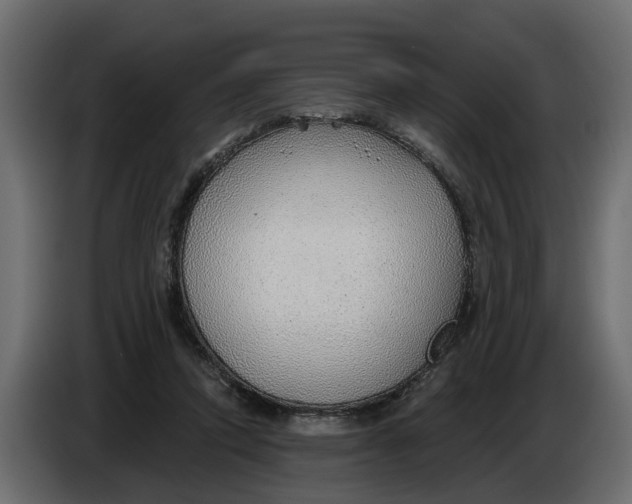 X0000083550354200703021657