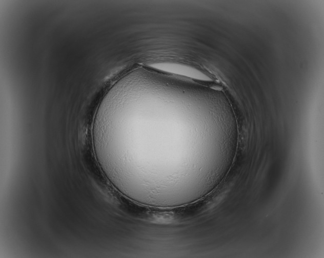 X0000083550355200703021657