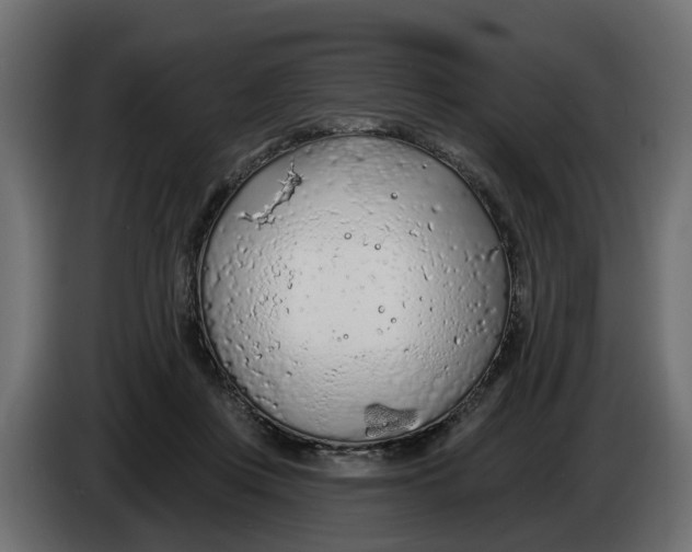 X0000083550359200703021657
